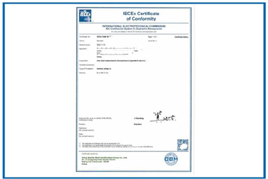 Explosion proof certification case of gas detector